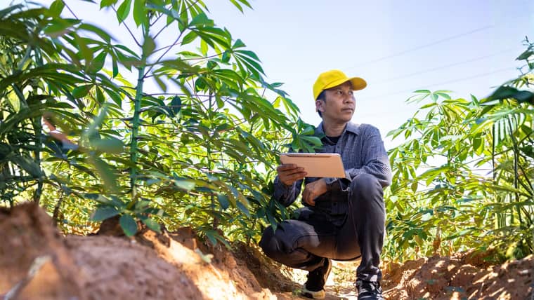 Profissional da área de Meio Ambiente e Agropecuária